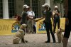 dogday 597